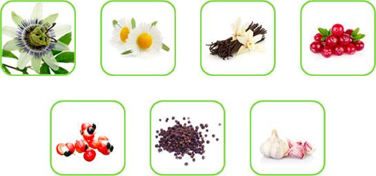Some examples of natural matrices which can be treated with the ROTOCAV hydrodynamic cavitator in the food industry